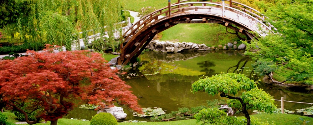 Magic Garden